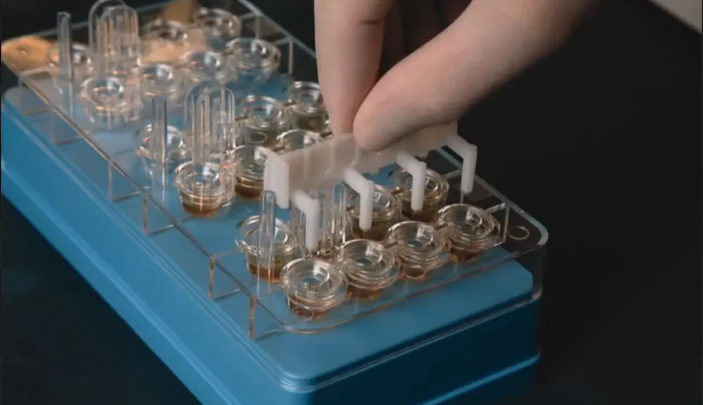 Allergy Testing 1 e1770418407431 1024x591