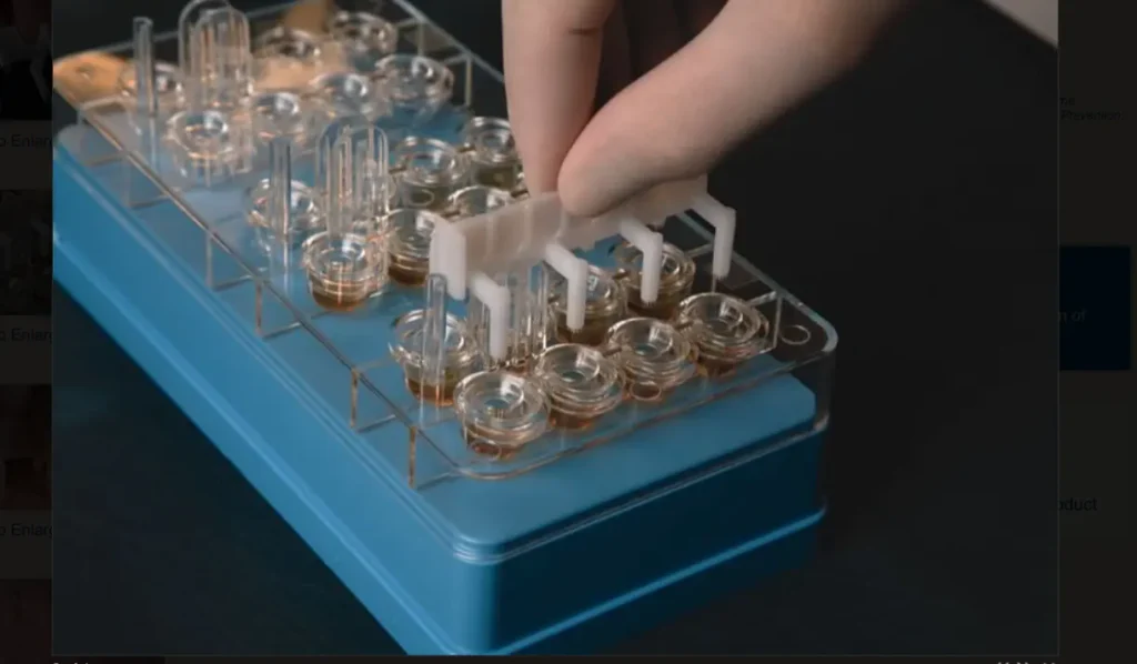 Allergy Testing 1024x598